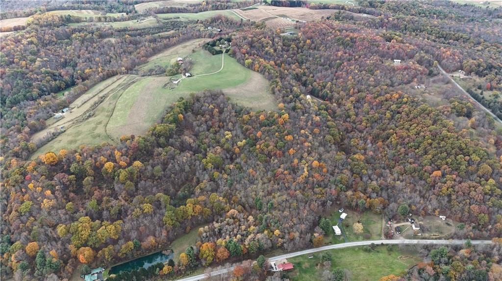 76-acres Along Braughler Road Rochester Mills, PA 15759 - Photo 5 of 26 a view of a yard with plants