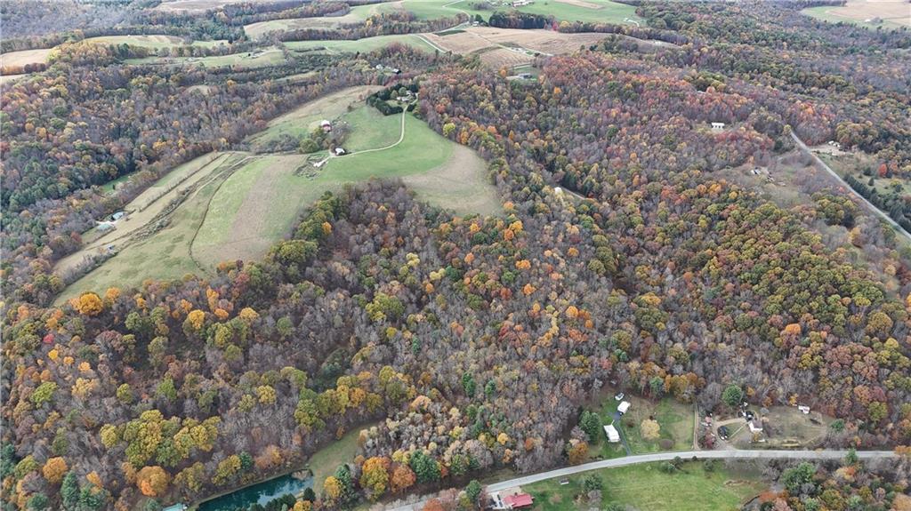 76-acres Along Braughler Road Rochester Mills, PA 15759 - Photo 7 of 26 a view of a yard in a forest