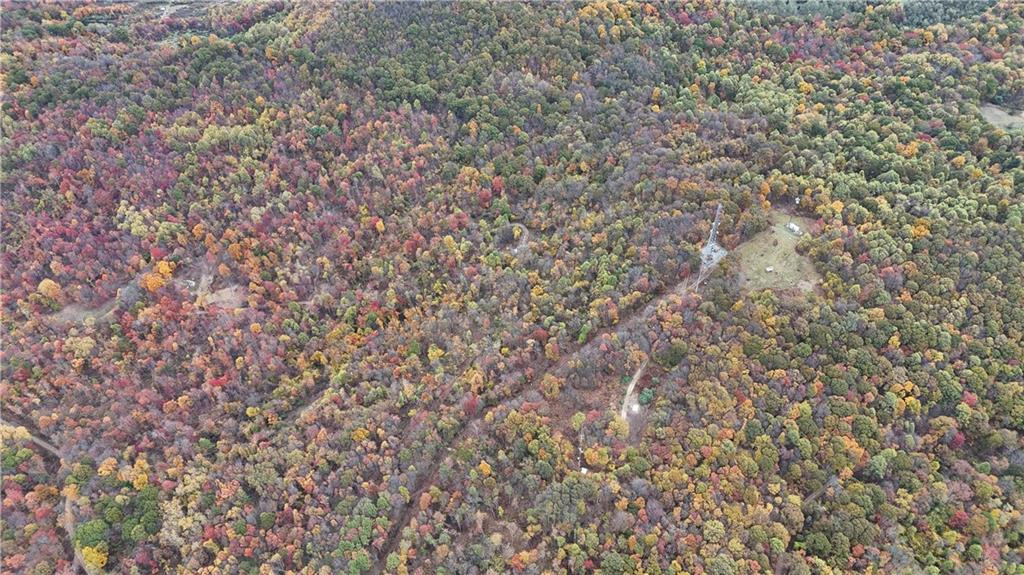 76-acres Along Braughler Road Rochester Mills, PA 15759 - Photo 9 of 26 a close up of a tree
