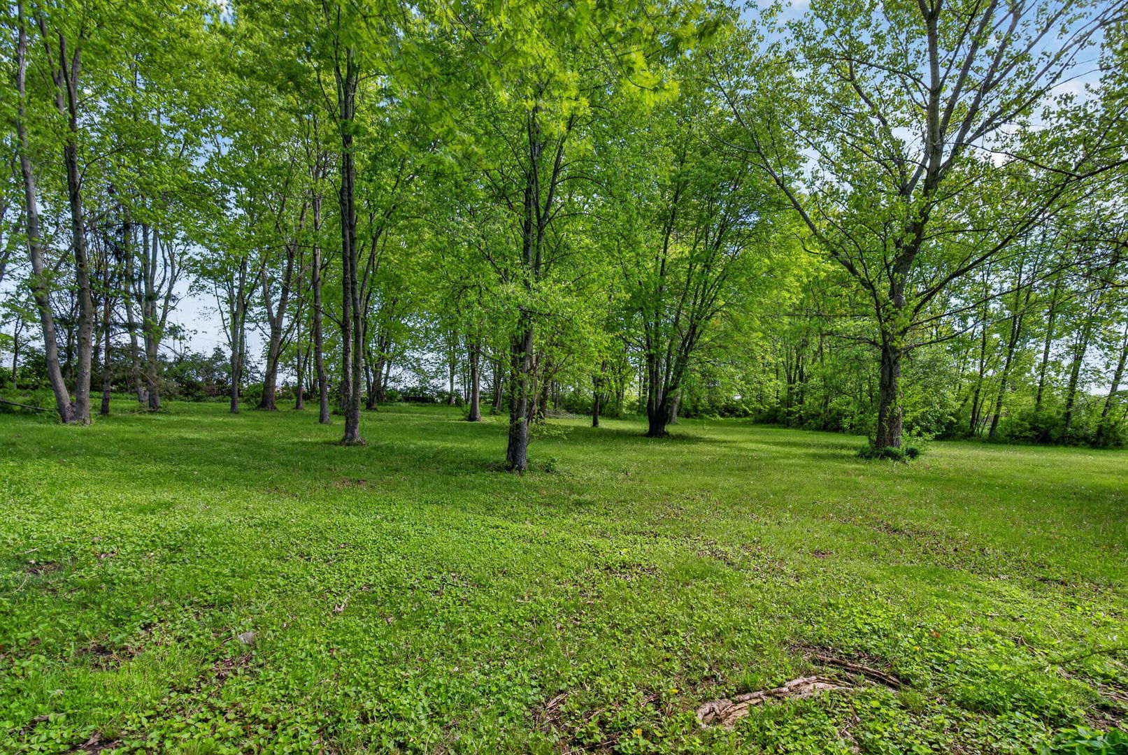 28325 Wilton Road Manhattan, IL 60442 - Photo 18 of 24