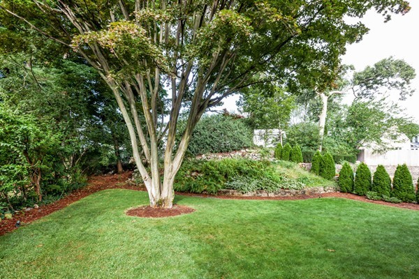 104 Cutter Hill Road Arlington, MA 02474 - Photo 18 of 19 a view of a garden with a tree