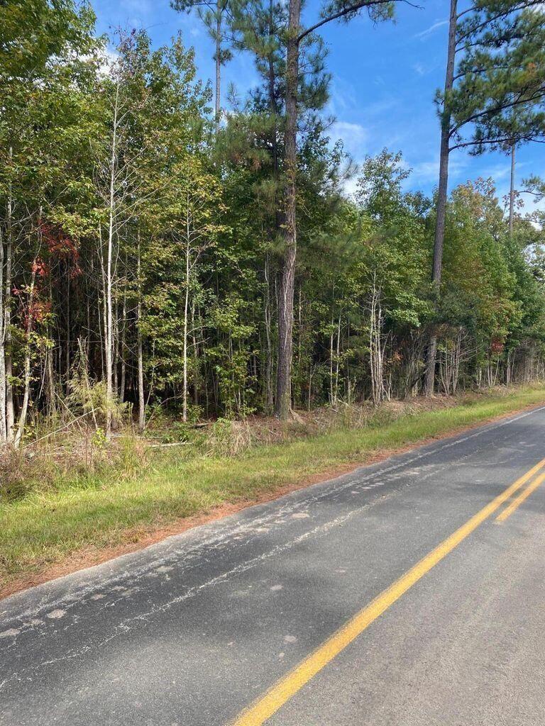 8012 Old Jacksonboro Road Adams Run, SC 29426 - Photo 3 of 7 20220103221930883613000000-o