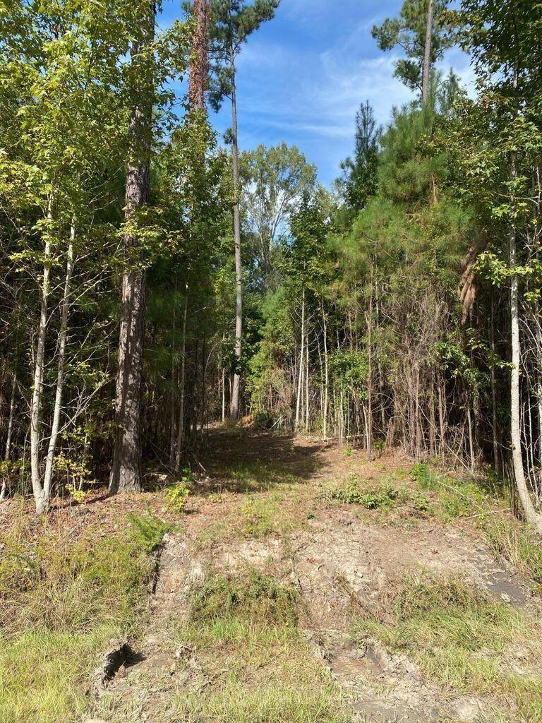 8012 Old Jacksonboro Road Adams Run, SC 29426 - Photo 5 of 7 20220103221933054879000000-o