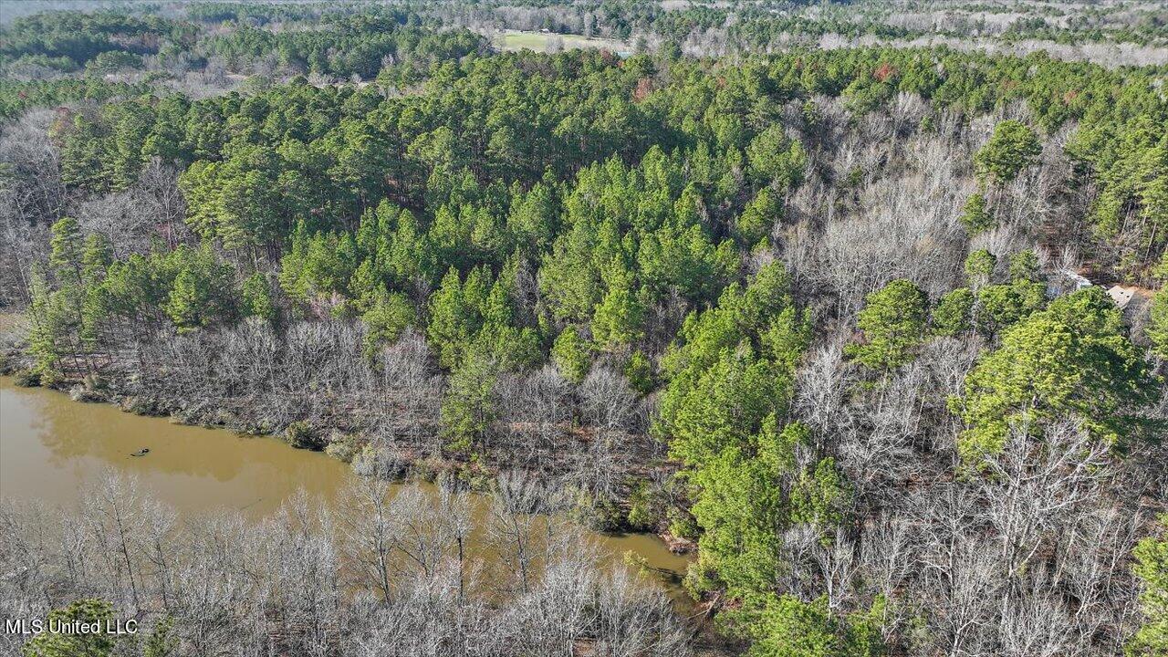 1074 Ridgeside Drive Brandon, MS 39042 - Photo 11 of 30 08-1074 Ridgeside Dr