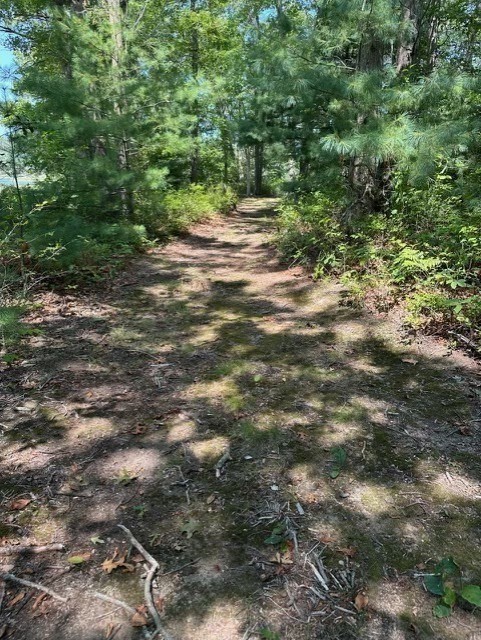 26 Mordecai Lincoln Road Scituate, MA 02066 - Photo 11 of 36 a view of a yard with a tree
