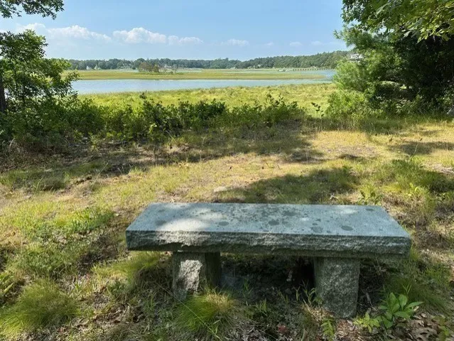 a view of a lake with a mountain