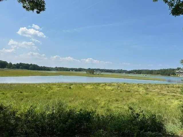 a view of a swimming pool and lake view