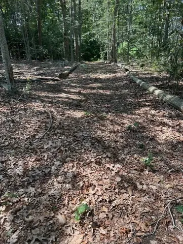 a view of a field with trees