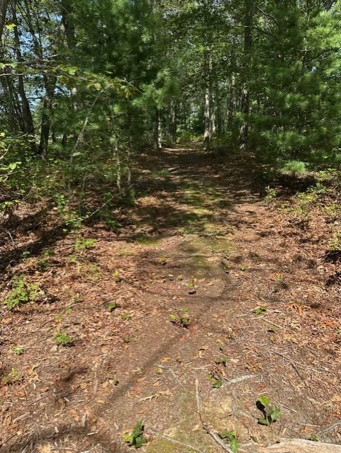 26 Mordecai Lincoln Road Scituate, MA 02066 - Photo 10 of 36 a view of a yard with a tree