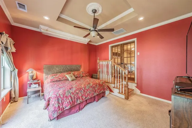 a view of a park with large trees