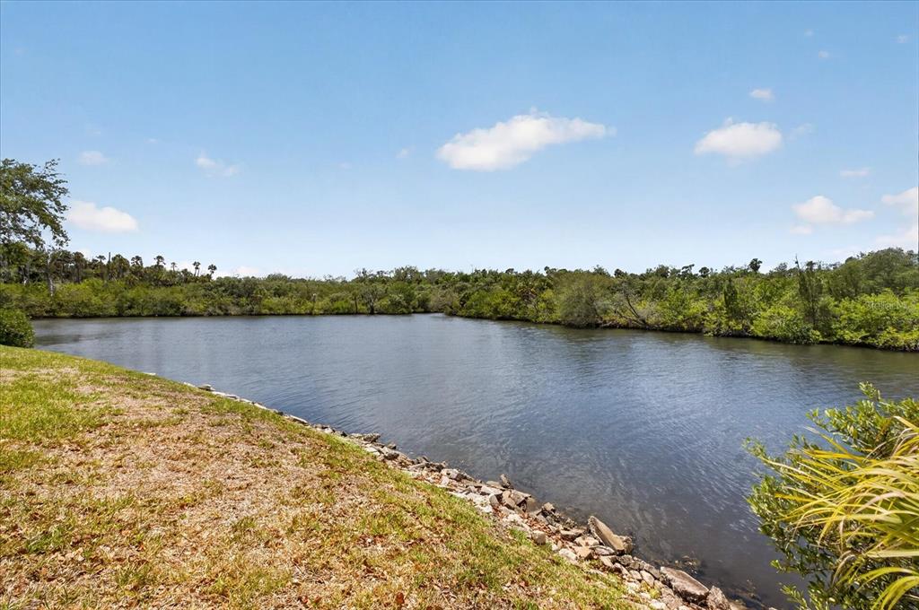 4116 Hampton Drive New Port Richey, FL 34652 - Photo 24 of 35 a view of a lake