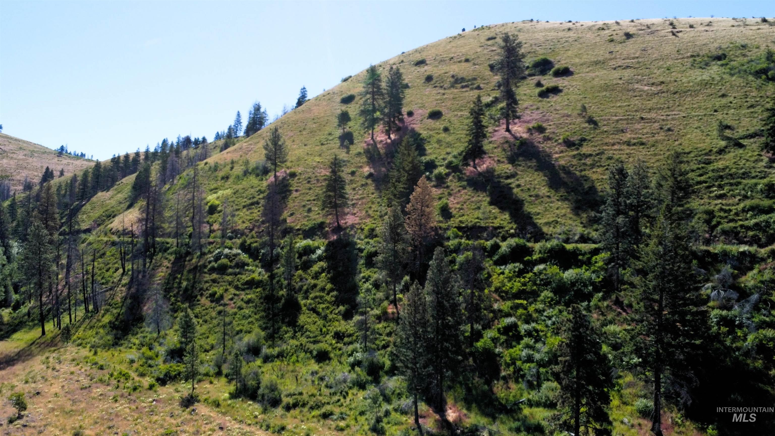 Tbd Advent Gulch Road Cambridge, ID 83610 - Photo 29 of 30