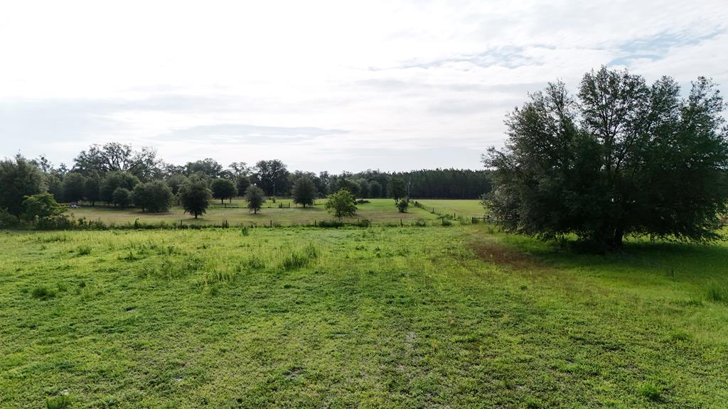 Vacant 145th Road Live Oak, FL 32060 - Photo 36 of 42