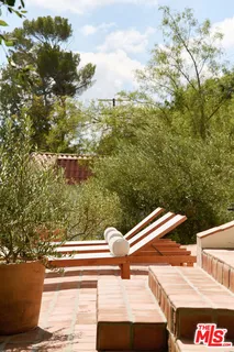 a view of a palm plant that is in front of a house