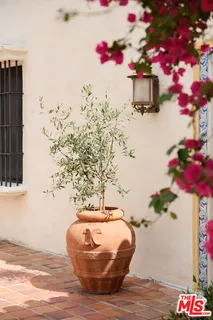 a view of a vase of flowers sitting on a table