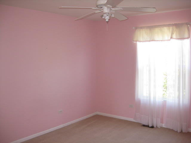 25189 Faraday Road, Unit 1 Manhattan, IL 60442 - Photo 9 of 14