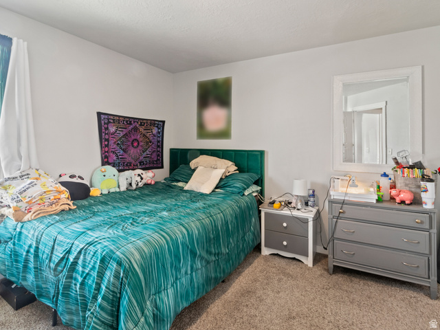 844 North Marble Road Tooele, UT 84074 - Photo 12 of 17