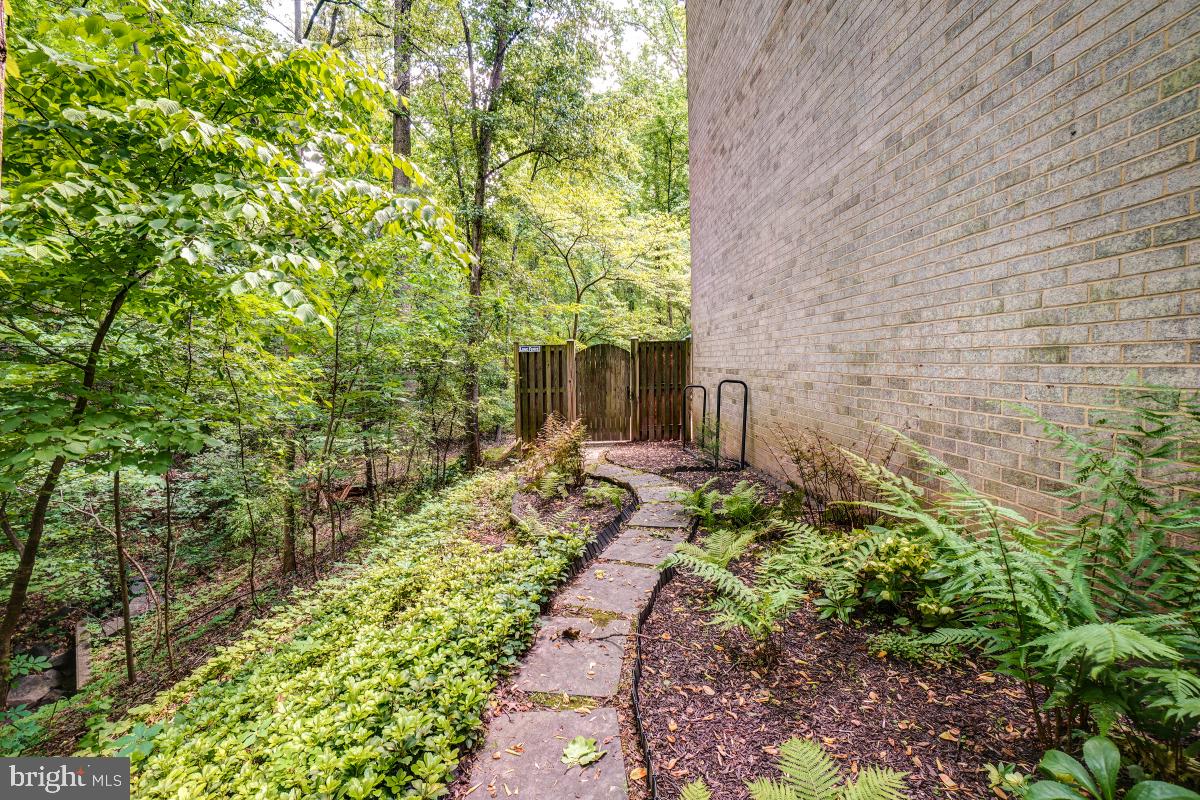 11711 Stillbrook Court Reston, VA 20191 - Photo 4 of 49 Side Yard - End Unit!