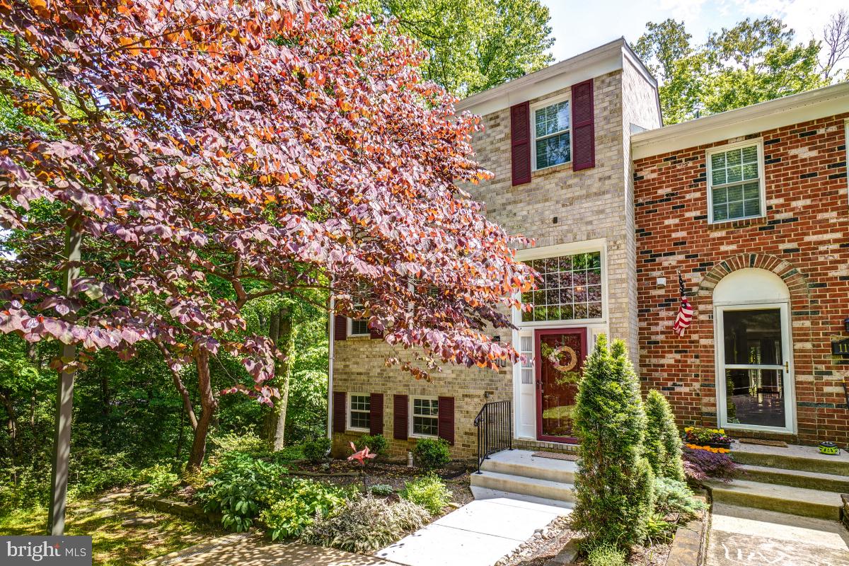 11711 Stillbrook Court Reston, VA 20191 - Photo 5 of 49