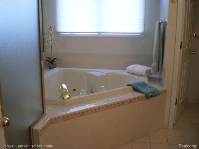 4121 Oak Tree Circle Rochester, MI 48306 - Photo 14 of 19 Tub.JPG