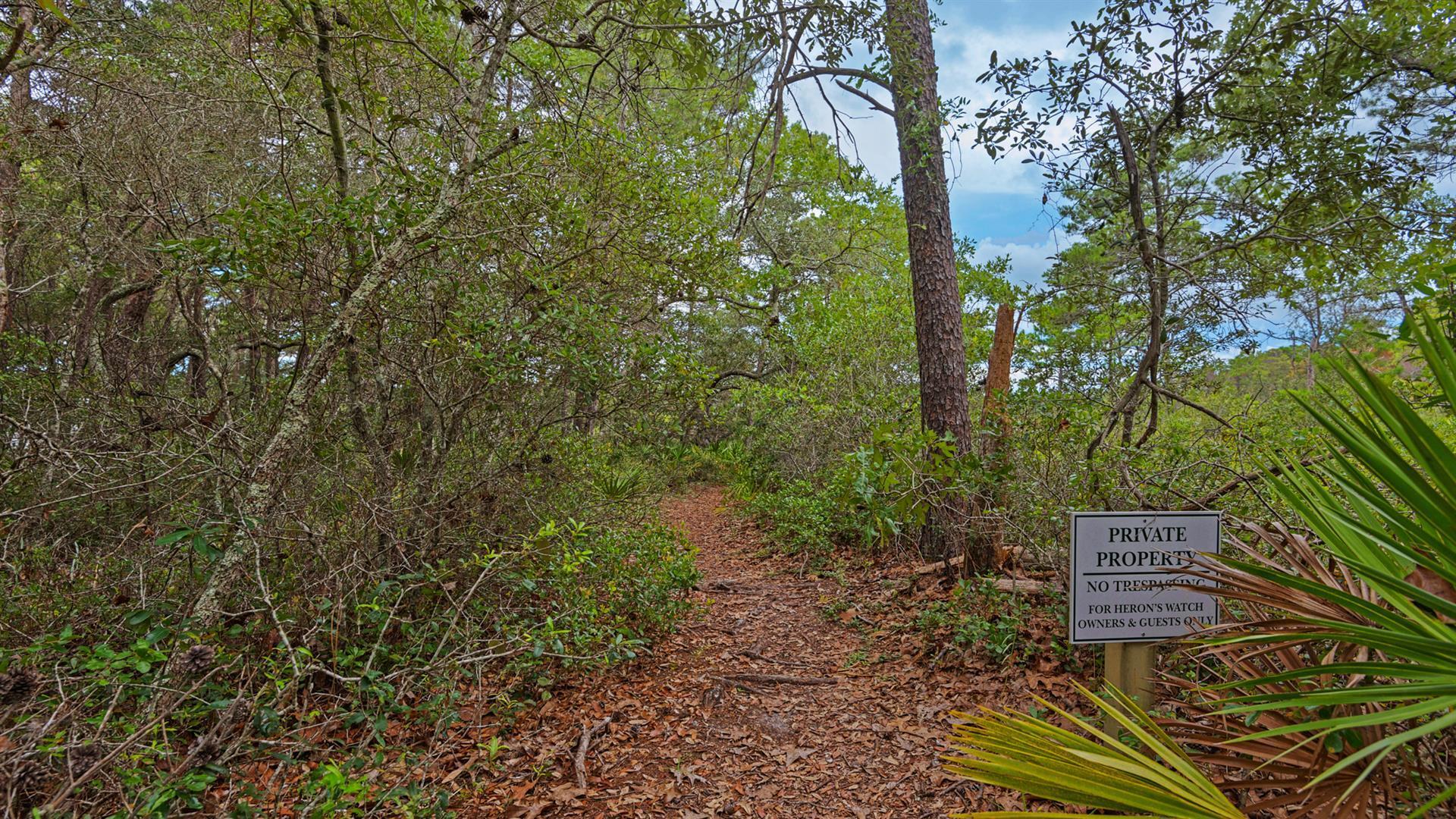 34 Heron's Watch Way, Unit 5101 Santa Rosa Beach, FL 32459 - Photo 26 of 33 Trail to lake access!