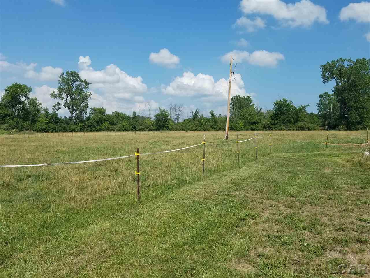 11633 Strasburg Road Erie, MI 48133 - Photo 3 of 9