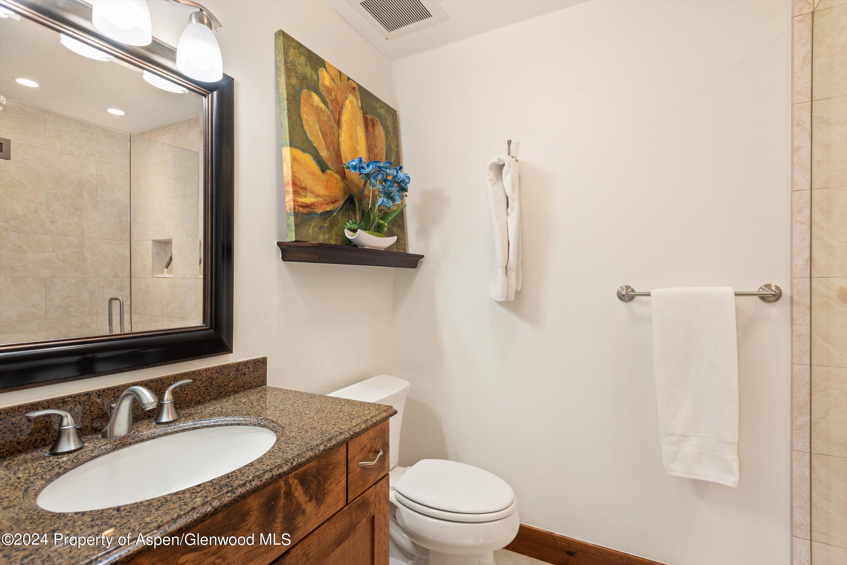 374 Meadow Ranch Road Snowmass Village, CO 81615 - Photo 15 of 22 a bathroom with a granite countertop toilet a sink and mirror