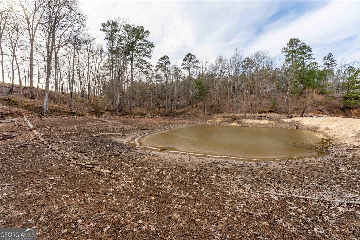 1282 Striper Cove Tignall, GA 30668 - Photo 12 of 24