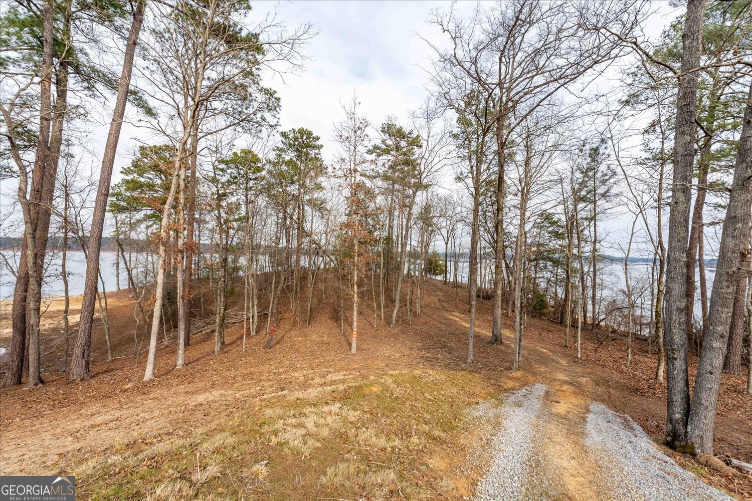 1282 Striper Cove Tignall, GA 30668 - Photo 8 of 24