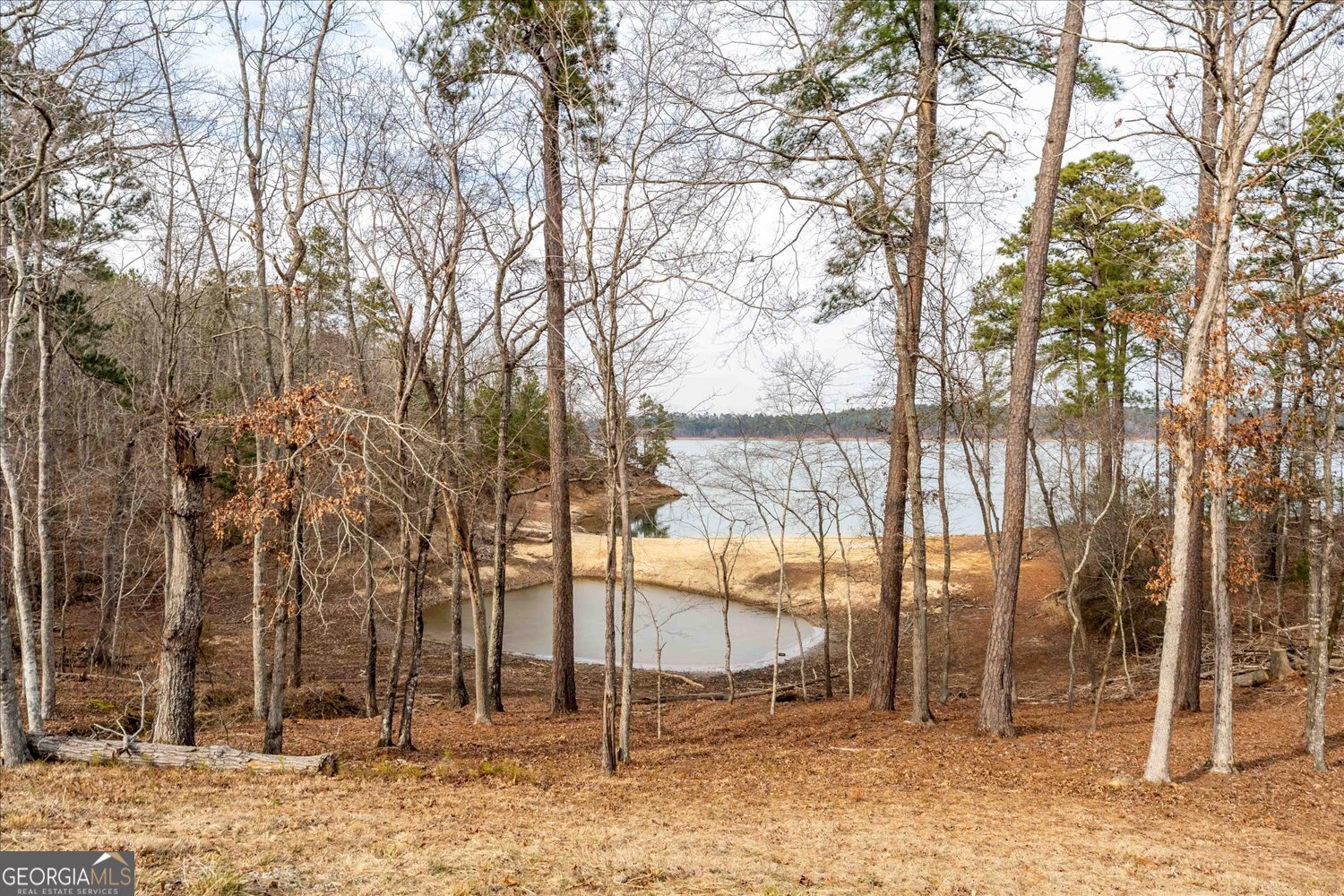 1282 Striper Cove Tignall, GA 30668 - Photo 9 of 24