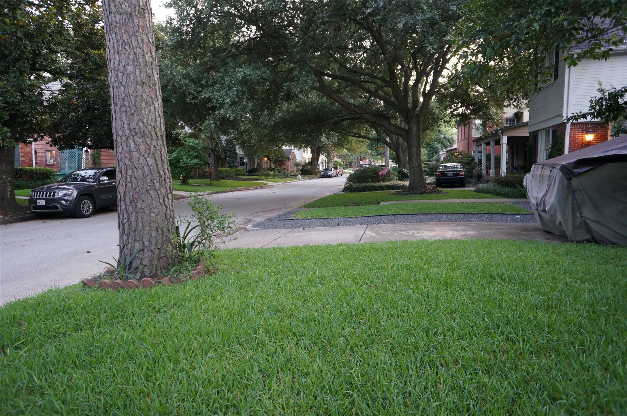 2404 Nottingham Street Houston, TX 77005 - Photo 5 of 12