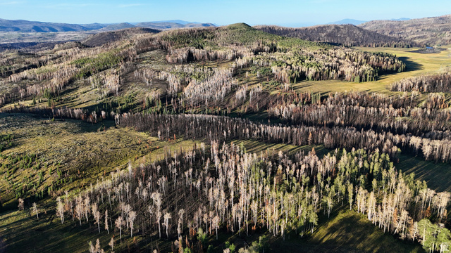 123 Tbd Monroe Canyon Road Monroe, UT 84754 - Photo 37 of 92 Expansive mountainous terrain featuring diverse tree coverage, including areas of deciduous and evergreen trees, with scattered clearings