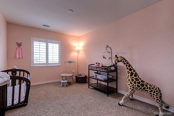 9184 Viaggio Way Highlands Ranch, CO 80126 - Photo 15 of 22 Gallery Image 15
