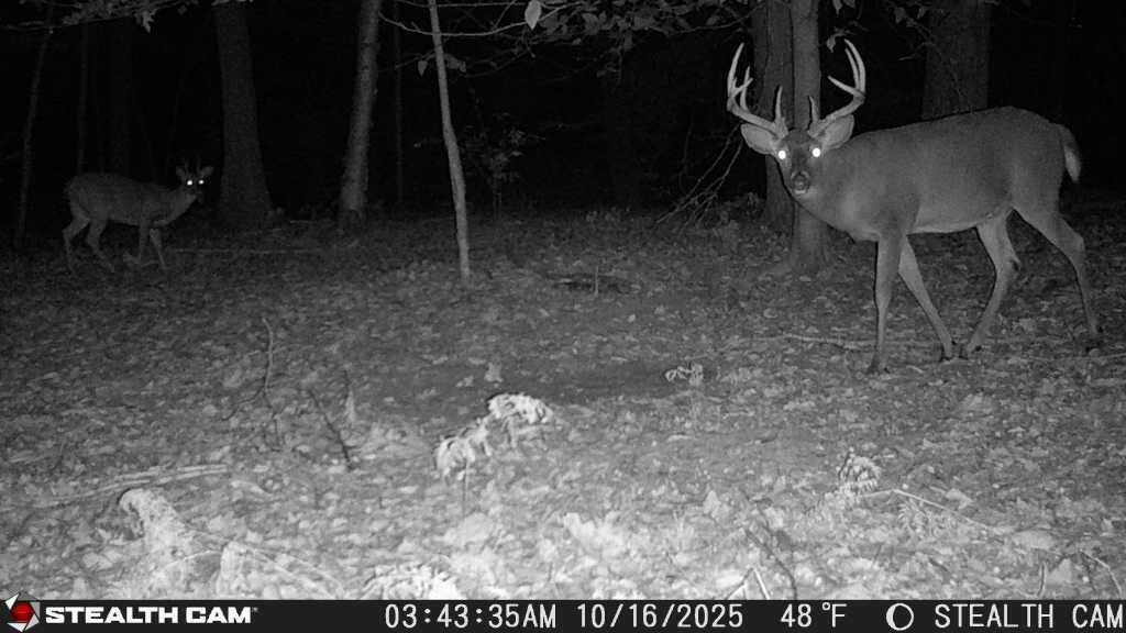 5499 West Mcbride Road Lakeview, MI 48850 - Photo 23 of 24 IMG_4436