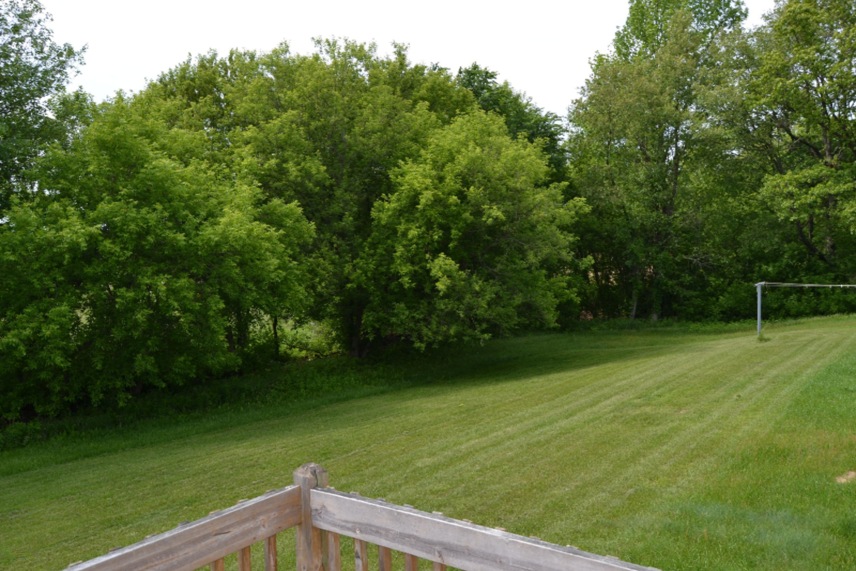 21470 4 Mile Road Morley, MI 49336 - Photo 20 of 20 DSC_0843