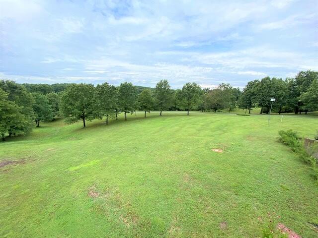 3303 Reinmiller Road Joplin, MO 64804 - Photo 1 of 1 View from deck