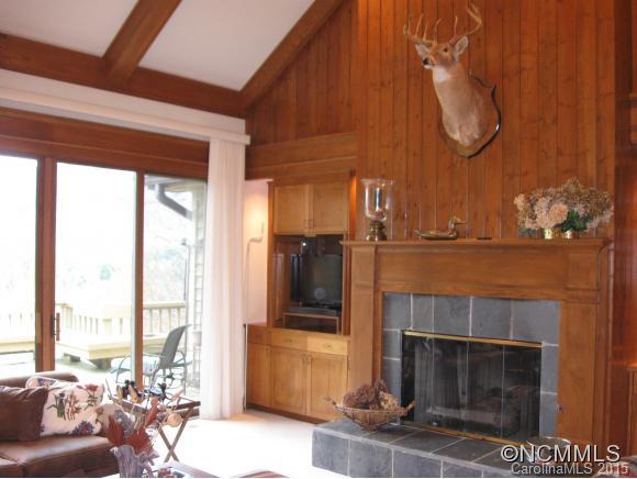 117 Running Fox Road Sapphire, NC 28774 - Photo 3 of 24 Gallery Image 3