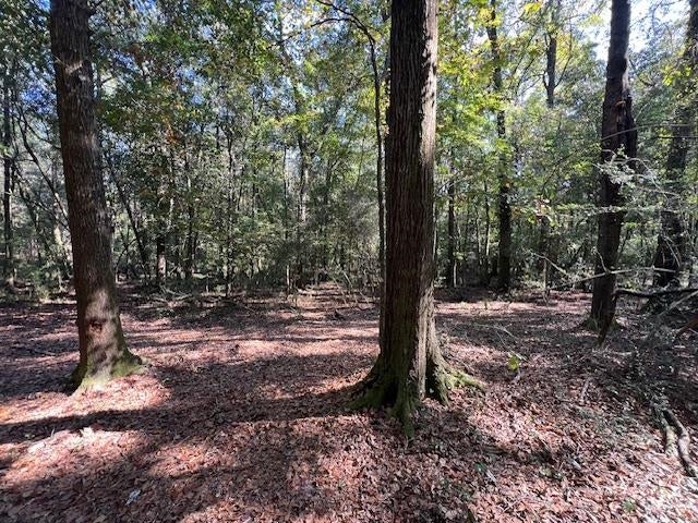 21.24-ac Union Grove Road Opp, AL 36467 - Photo 9 of 38 Gallery Image 9