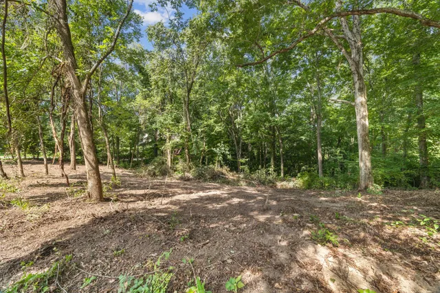 a view of outdoor space with trees
