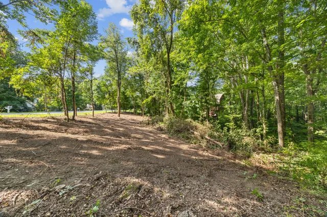 a view of road with trees