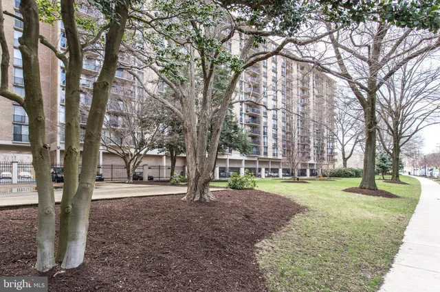 a view of a park with large trees