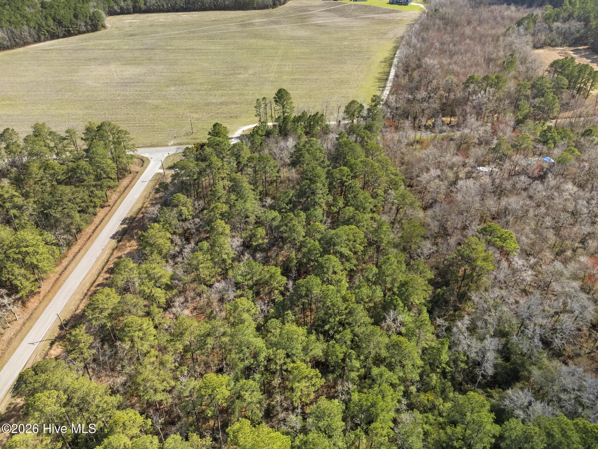1 R Page (crabtree) Road Burgaw, NC 28425 - Photo 15 of 19 DJI_20260306141508_0272_D