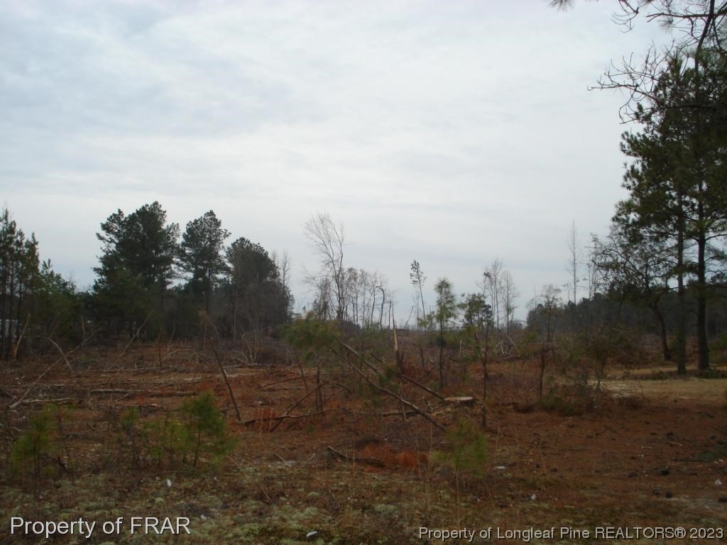 Ozzie Road Clinton, NC 28328 - Photo 2 of 3 a view of a yard