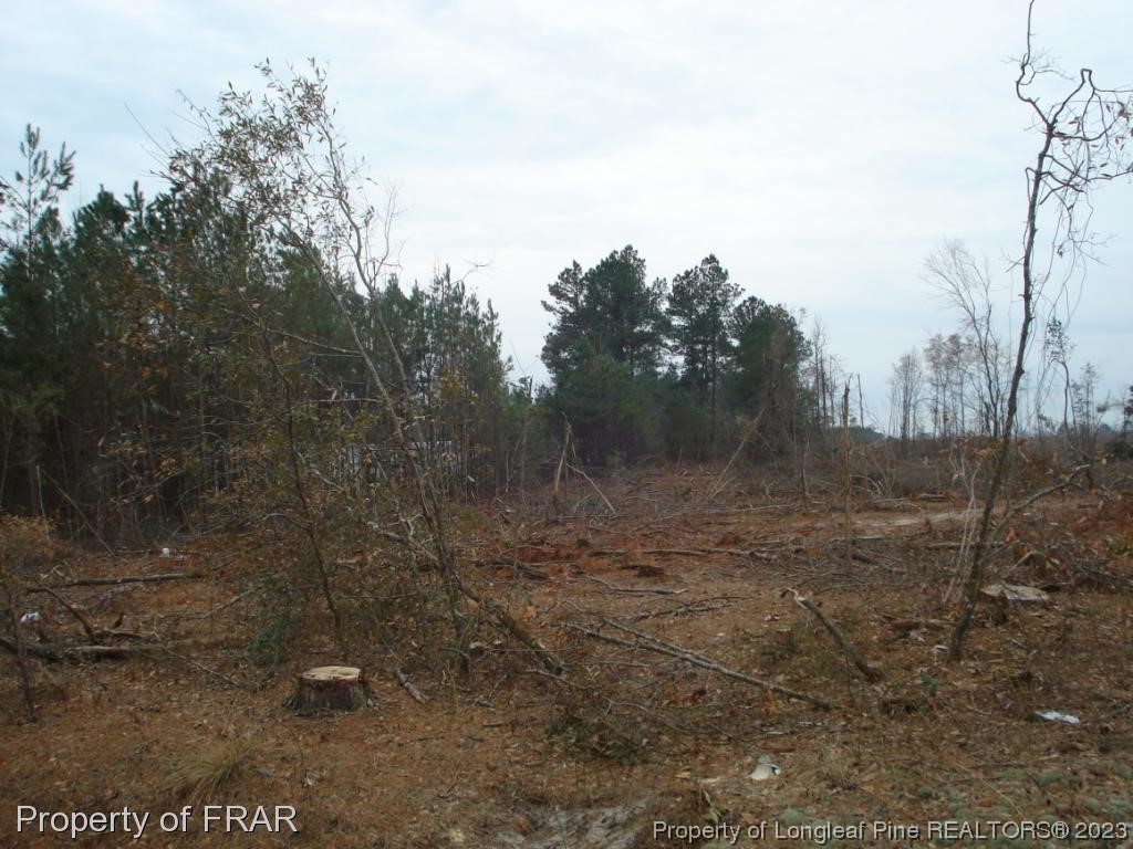 Ozzie Road Clinton, NC 28328 - Photo 3 of 3 a view of a dry yard