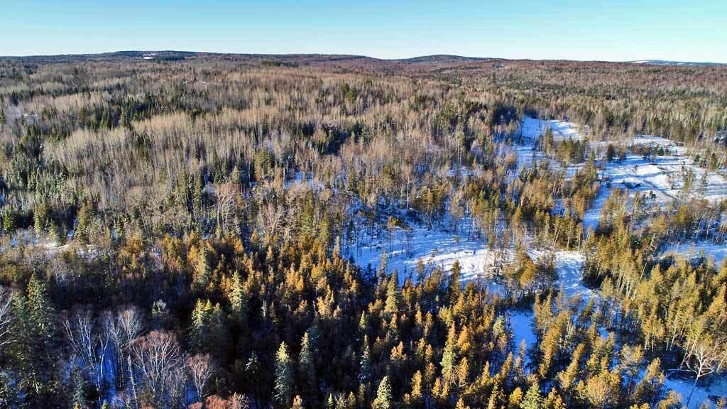 Lot 6 Ludlow Road Houlton, ME 04730 - Photo 7 of 28 land-maine-ludlow-me-5