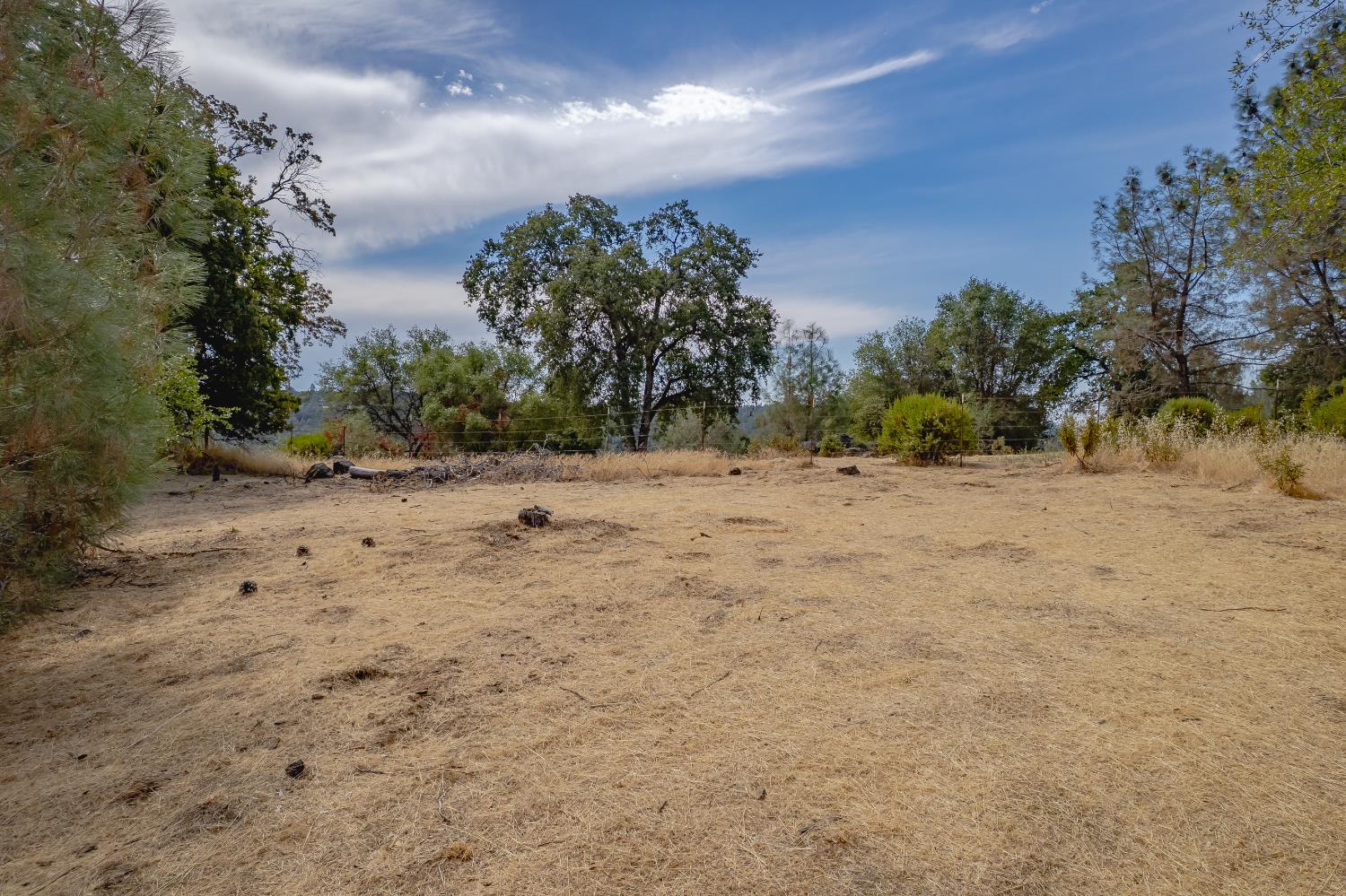 14331 Beitler Road Nevada City, CA 95959 - Photo 15 of 36 a view of a dry yard with trees