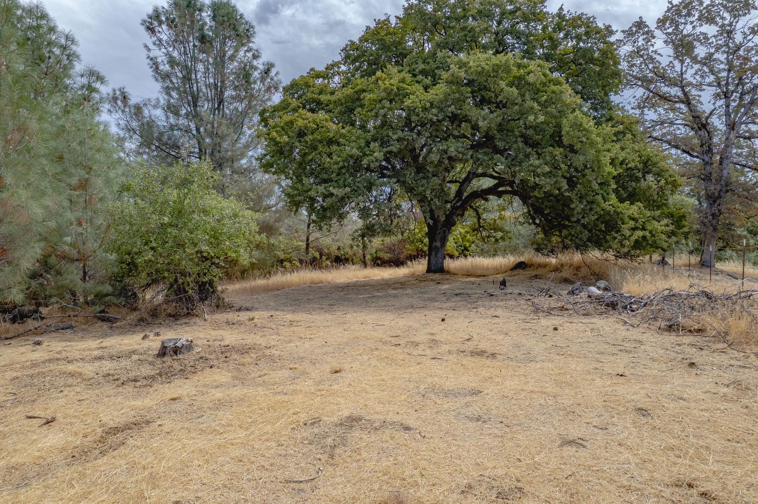 14331 Beitler Road Nevada City, CA 95959 - Photo 16 of 36 a view of dirt road with a building in the background