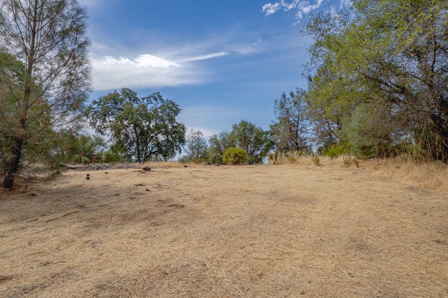 14331 Beitler Road Nevada City, CA 95959 - Photo 17 of 36 a view of beach and covered with trees