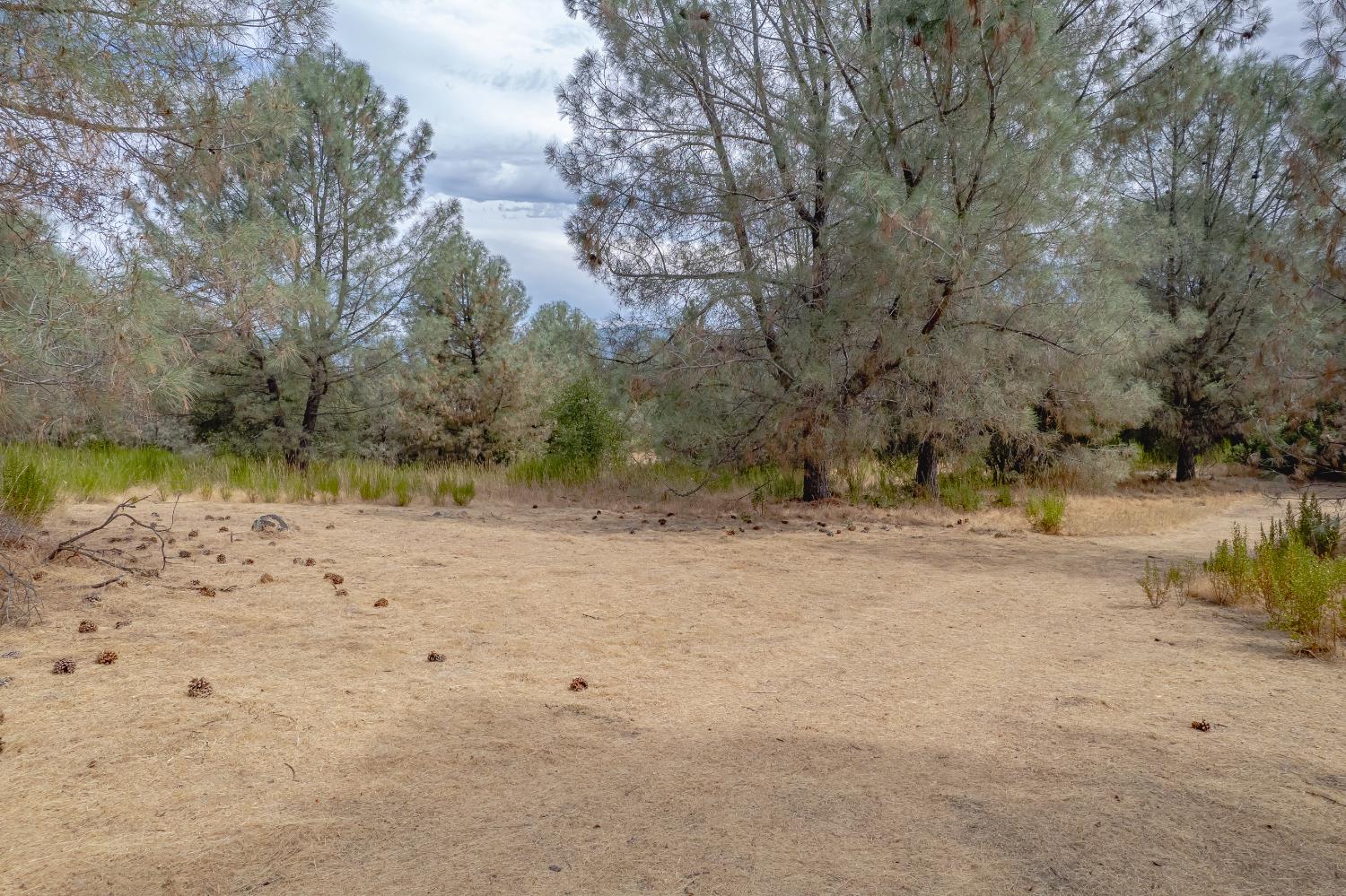 14331 Beitler Road Nevada City, CA 95959 - Photo 18 of 36 a view of a dry yard with wooden fence