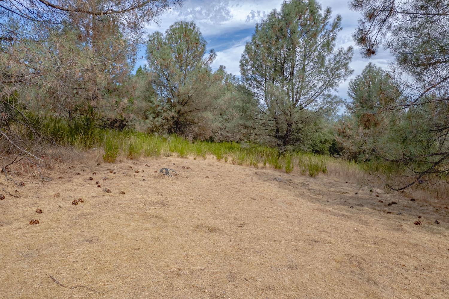 14331 Beitler Road Nevada City, CA 95959 - Photo 19 of 36